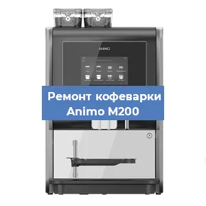 Замена прокладок на кофемашине Animo M200 в Перми